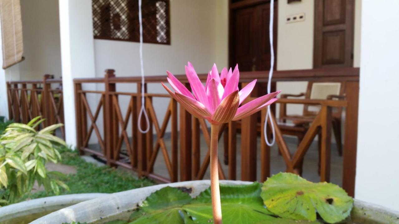 Homestay The Ed Corner - Hiriketiya