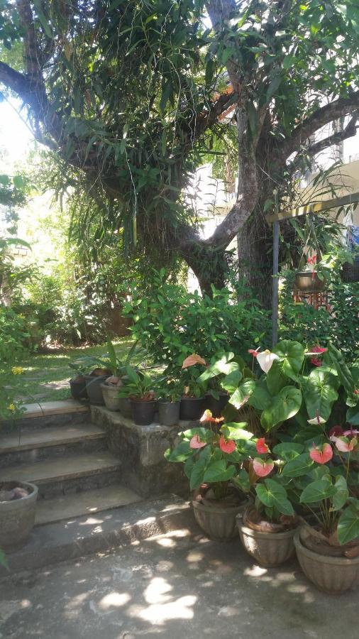 Privatunterkunft The Ed Corner - Hiriketiya *