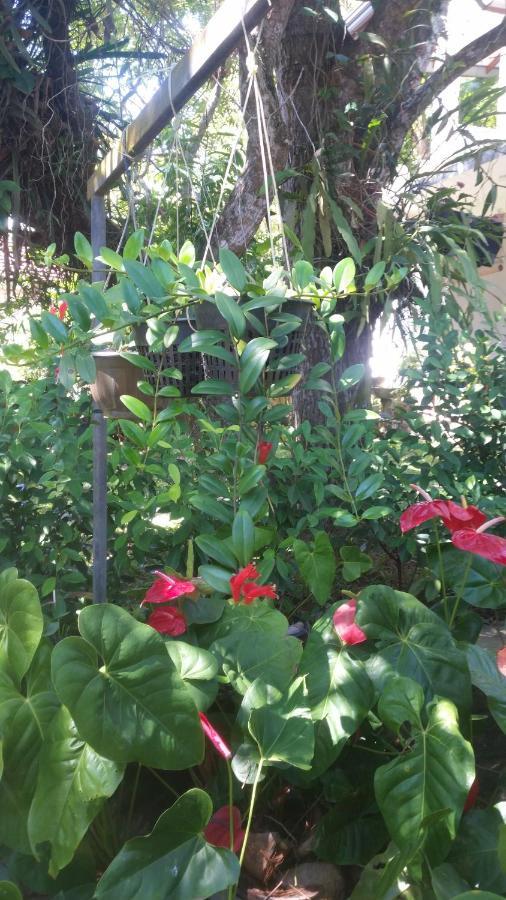 Homestay The Ed Corner - Hiriketiya Dickwella